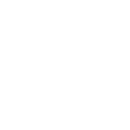 FGN FujiGen Guitars