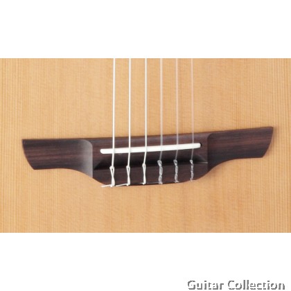 Takamine P3FCN Pro Series FCN Cutaway Nylon Classical Acoustic-Electric Solid Cedar Top Guitar CT4BII Preamp Hard Case