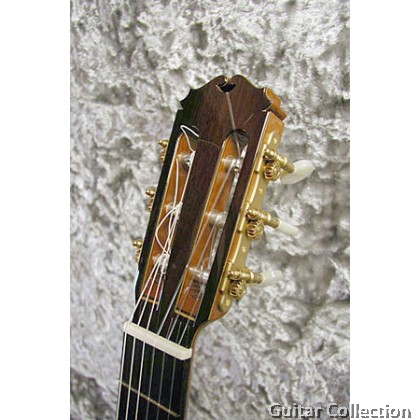 Sakurai Kohno - Special with Case