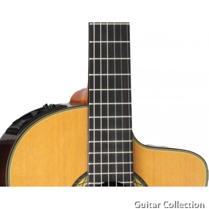 Takamine Hirade TH5C Classical Acoustic-Electric Cutaway Nylon Solid Cedar Top, CTP3 Preamp & Hard Case, MADE IN JAPAN
