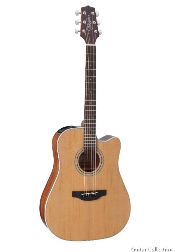 Takamine shop solid top