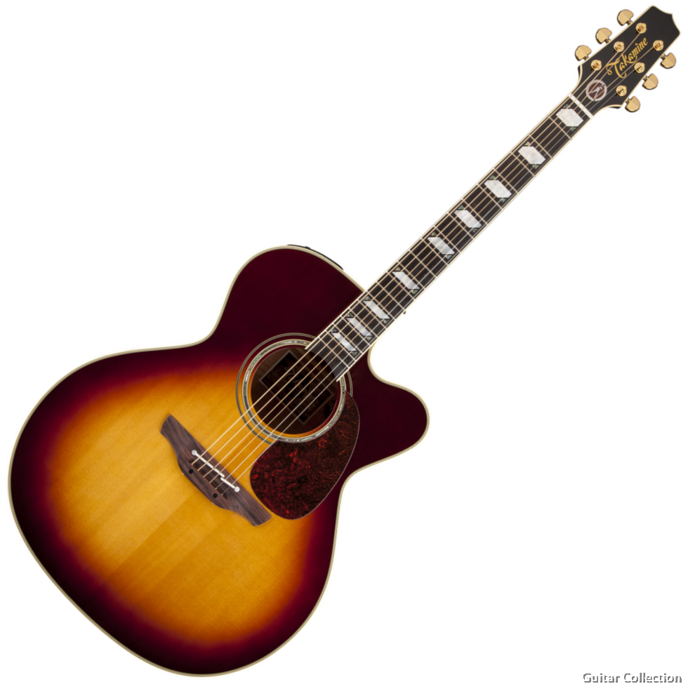 Signature series clearance acoustic guitar