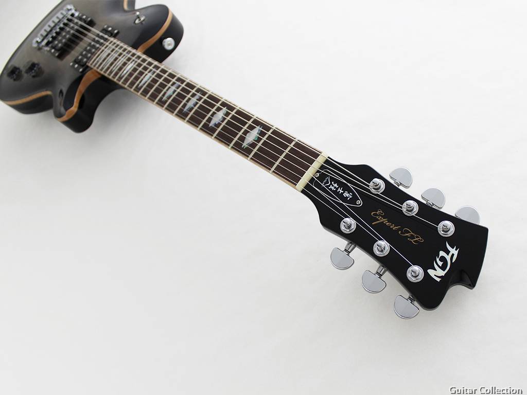 fgn guitars - Welcome to Quality Engineering Products