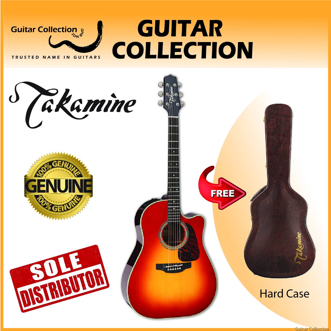 Hard case takamine sale