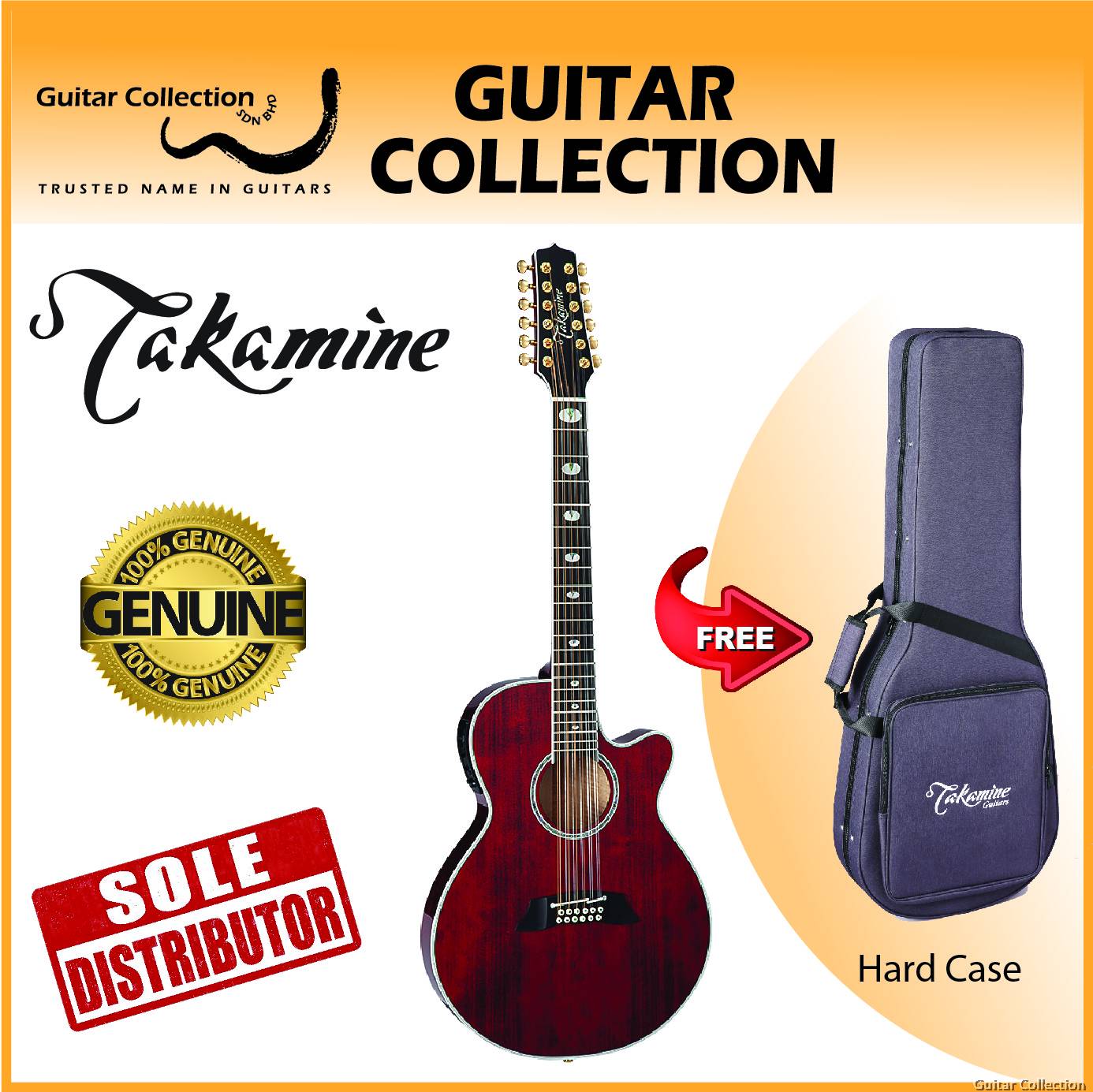 Takamine thinline shop 12 string
