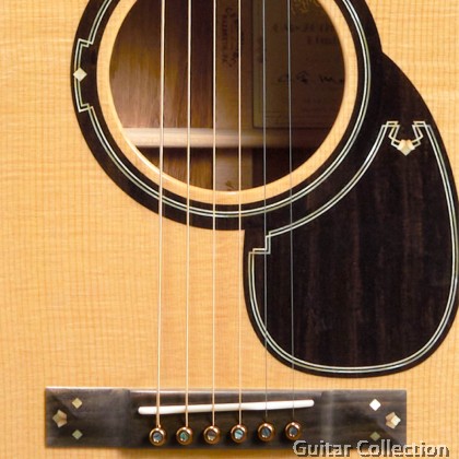 Martin OM 20th Century Limited | OM Acoustic Guitar | VTS Sitka Spruce Top, Guatemalan Rosewood B&S | Case