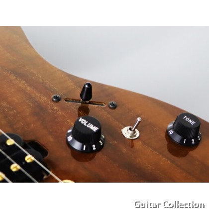 FGN Fujigen EOS2-DU-EW2-RM/VNT | Expert Odyssey | Electric Guitar | Vintage Natural | Case (Made In Japan)