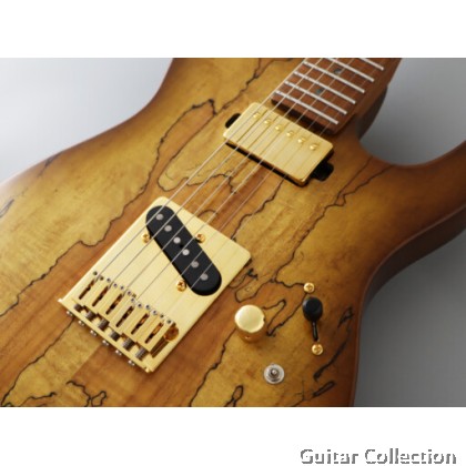 FGN Fujigen EIL-EW1-HS-RM/HCB | Expert Iliad | Electric Guitar | Hojicha Burst | Case (Made In Japan)
