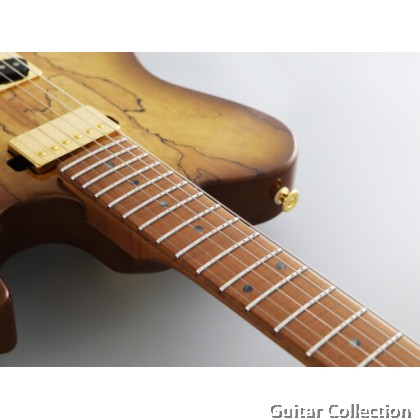 FGN Fujigen EIL-EW1-HS-RM/HCB | Expert Iliad | Electric Guitar | Hojicha Burst | Case (Made In Japan)