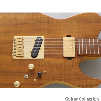 FGN Fujigen EIL-EW2-HS-RM/VNT | Expert Iliad | Electric Guitar | Vintage Natural | Case (Made In Japan)