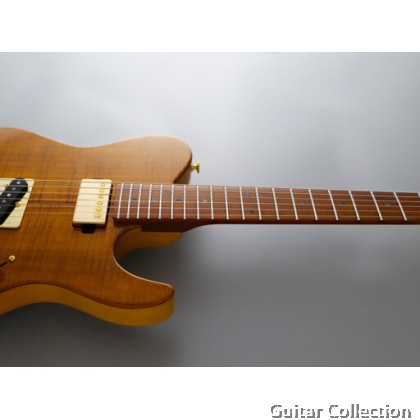 FGN Fujigen EIL-EW2-HS-RM/VNT | Expert Iliad | Electric Guitar | Vintage Natural | Case (Made In Japan)