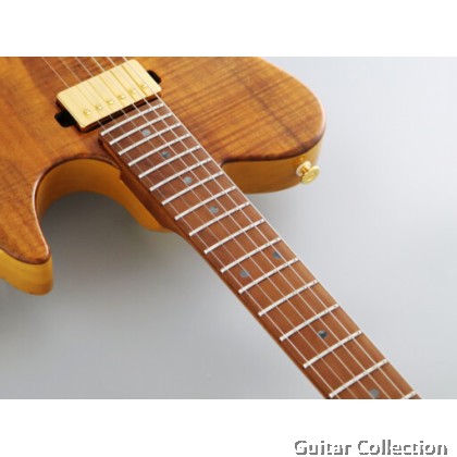 FGN Fujigen EIL-EW2-HS-RM/VNT | Expert Iliad | Electric Guitar | Vintage Natural | Case (Made In Japan)