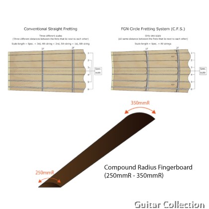 FGN Fujigen EIL-EW2-HS-RM/VNT | Expert Iliad | Electric Guitar | Vintage Natural | Case (Made In Japan)