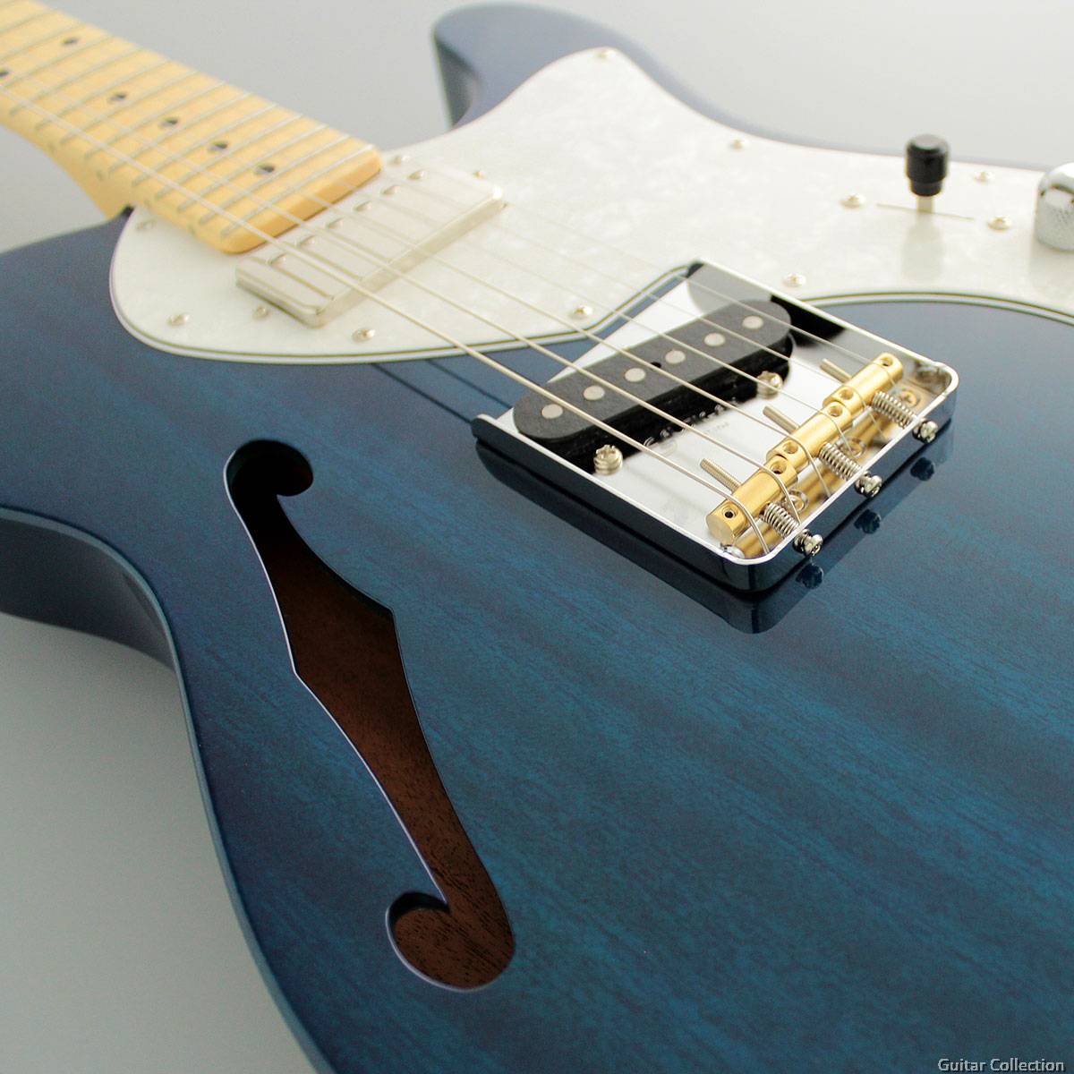 FGN Fujigen NTE110MMHT-TBL | Neo Classic Telecaster | Semi Hollow ...