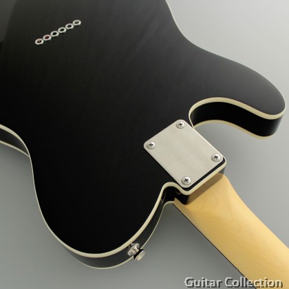 FGN Fujigen NTE210RAH-BK | Neo Classic Telecaster | Electric Guitar | Black  | Bag (Made