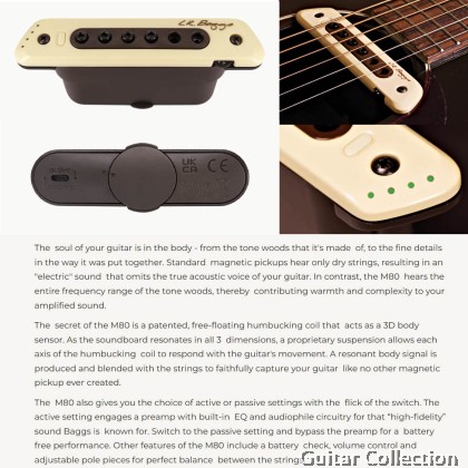 Martin D-11E Rock the Vote | Limited Special Edition | Dreadnought Acoustic-Electric Guitar | LR Baggs M80